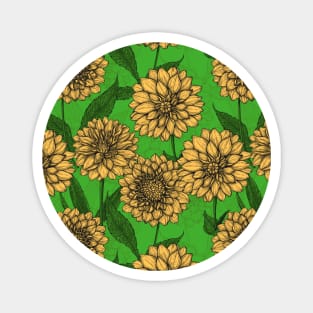 Dahlias in yellow and green Magnet